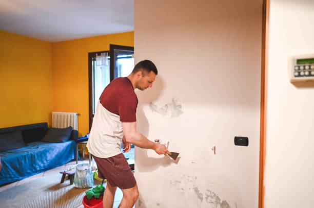 Best White Mold Remediation in Kingston, NJ